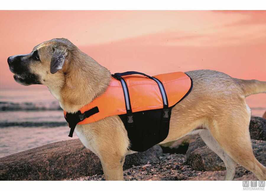 Cintura di salvataggio per animali