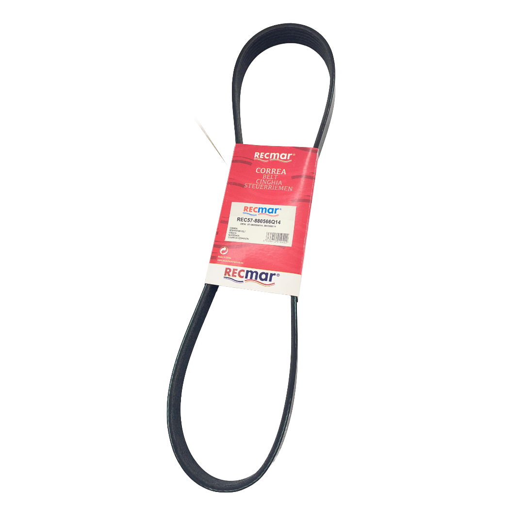 Cinghia per motori Mercury Verado 57-880566014