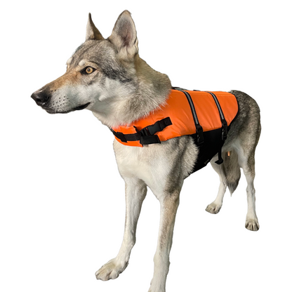 Cintura di salvataggio per animali