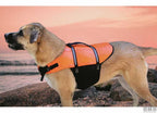 Cintura di salvataggio per animali