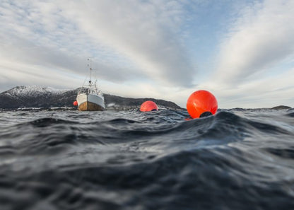 Parabordo/Boa in Polyform serie "A" Arancione