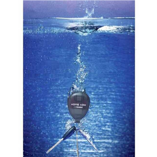 Portachiavi galleggiante autogonfiabile Davis