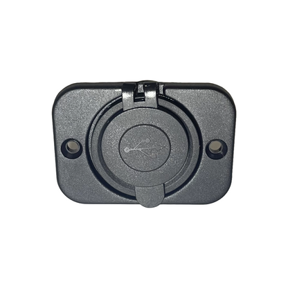 Presa doppia USB 12/24 Volts