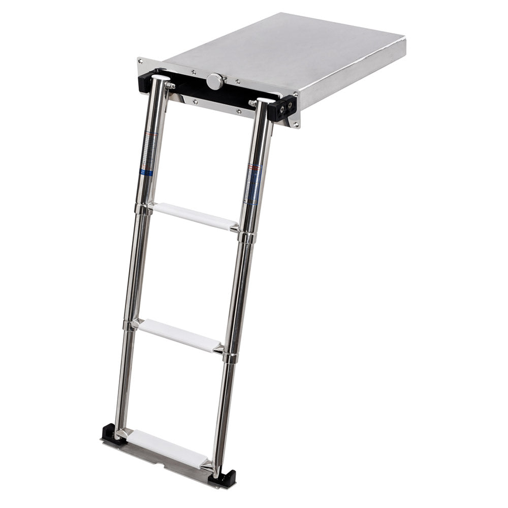 Eccentric stainless steel built-in retractable ladder
